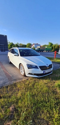 Skoda Superb cena 83500 przebieg: 93000, rok produkcji 2017 z Ełk małe 667